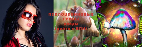 дмт Белокуриха