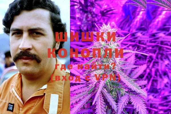 дмт Белокуриха