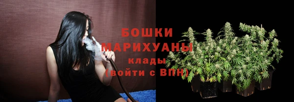дмт Белокуриха