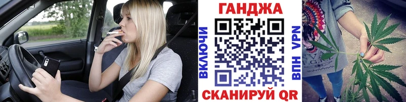 где найти наркотики  Судогда  Бошки Шишки ГИДРОПОН 